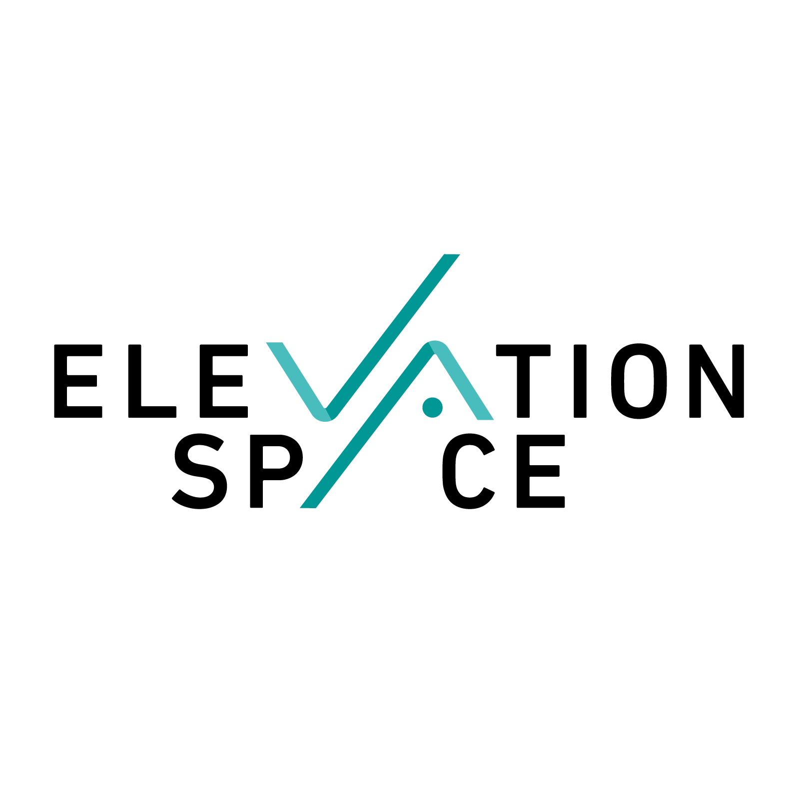 ElevationSpace Inc. Logo